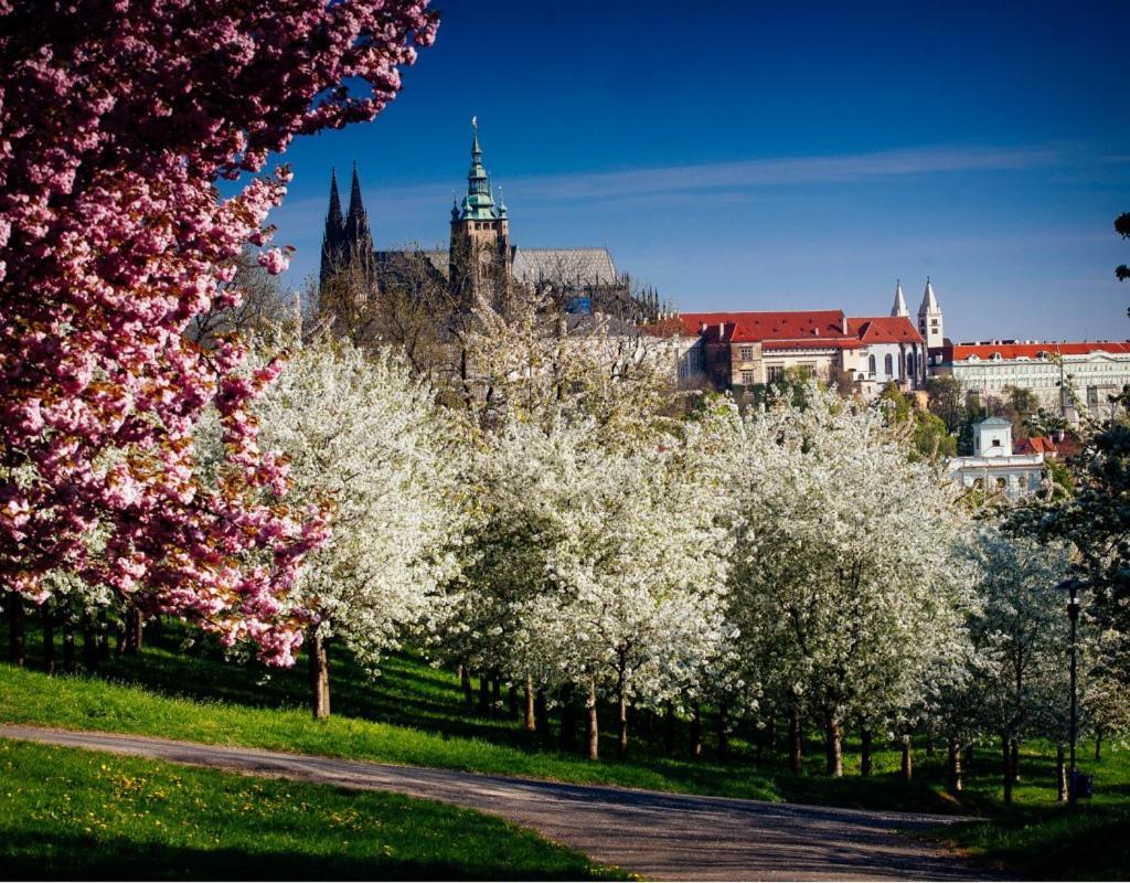 Royal Apartments Prague By Michal&Friends المظهر الخارجي الصورة