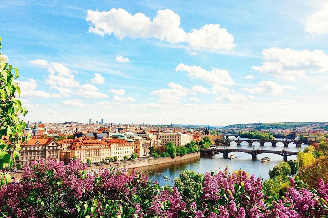 Royal Apartments Prague By Michal&Friends المظهر الخارجي الصورة